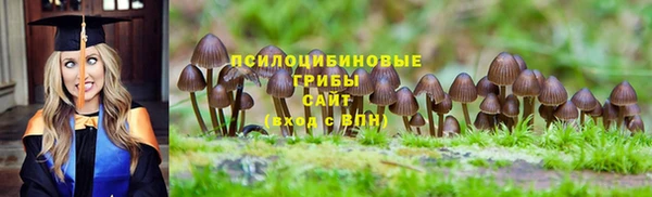 каннабис Алзамай