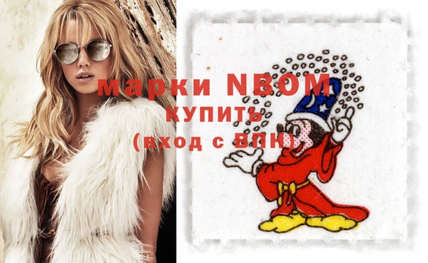стаф Покачи