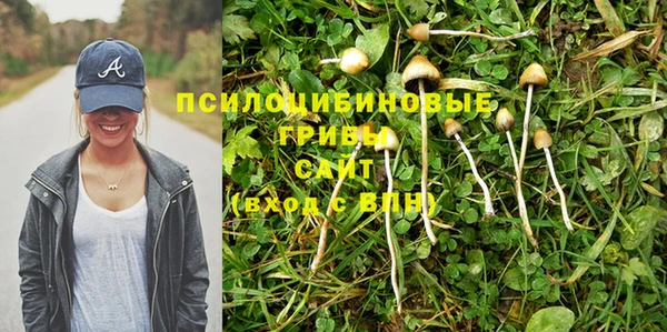 спайс Покровск