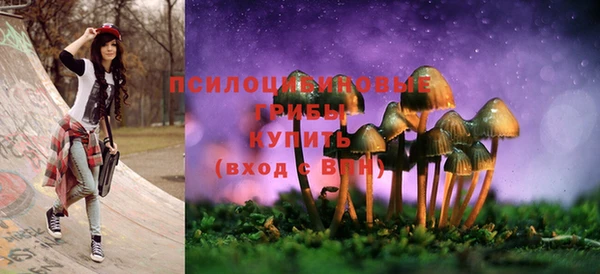 скорость Абаза