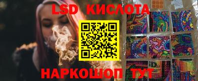 крисы Новодвинск