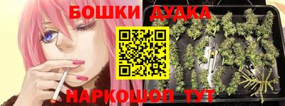крисы Новодвинск