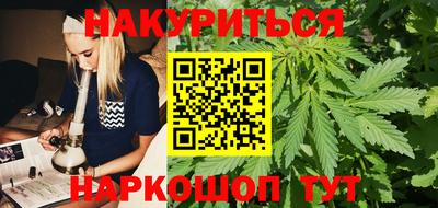 крисы Новодвинск
