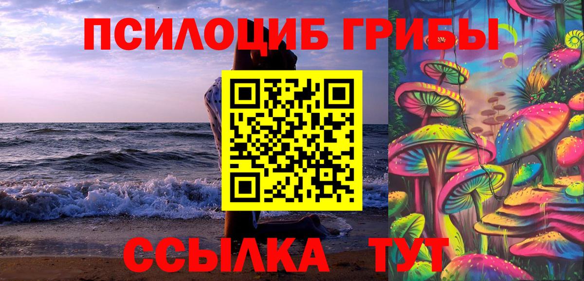 Галлюциногенные грибы Psilocybine cubensis Темрюк