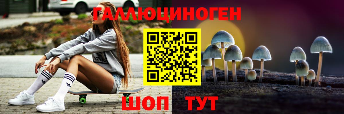 Темрюк  Псилоцибиновые грибы ЛСД  Вход с VPN  Псилоцибиновые грибы ЛСД 