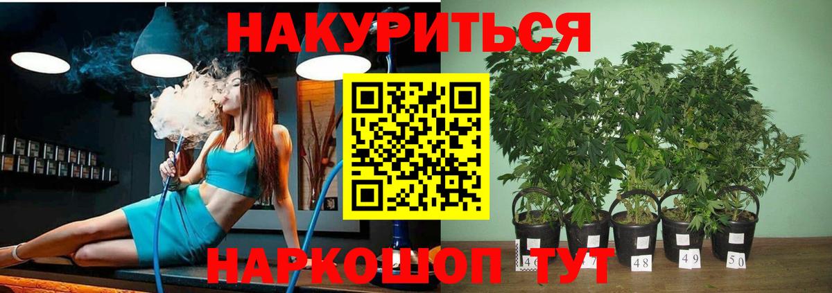 Марихуана SATIVA & INDICA Темрюк